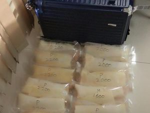 Jelang Lebaran, KKP Gagalkan Penyelundupan 212.536 Benih Lobster