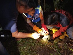 Pria Asal Mojokerto Dapat Tengkorak Kepala Manusia Saat Jala Ikan