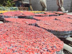 Lingkaran Setan Industri Petasan