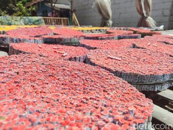 Lingkaran Setan Industri Petasan