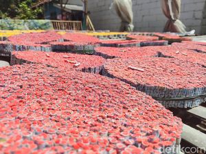 Lingkaran Setan Industri Petasan Lingkaran Setan Industri Petasan