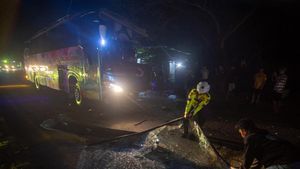 Bus Bintang Prima Tabrak Truk Kontainer di Trans Sulawesi
