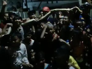 Ular Piton 4 Meter di Makassar Dievakuasi Damkar Jadi Tontonan Warga