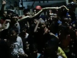 Ular Piton 4 Meter di Makassar Dievakuasi Damkar Jadi Tontonan Warga