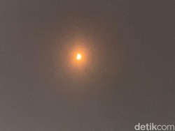 Mahasiswa Unimuda Sorong Pantau Gerhana Matahari dengan Alat Sederhana