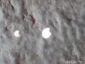 Unik! Ini Cara Warga Blora Amati Fenomena Gerhana Matahari