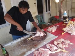 H-2 Lebaran, Harga Daging Ayam di Gorontalo Naik Rp 70 Ribu Per Ekor