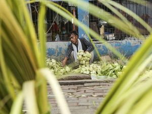Tumpah Ruah Pedagang Kulit Ketupat Jelang Lebaran Tumpah Ruah Pedagang Kulit Ketupat Jelang Lebaran