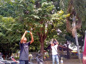 Warga Dompu Pakai Air Tampungan-Kaca Helm Lihat Gerhana Matahari Hibrida