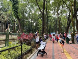 Warga Pilih Wisata ke Ragunan Sebelum Lebaran demi Hindari Kepadatan
