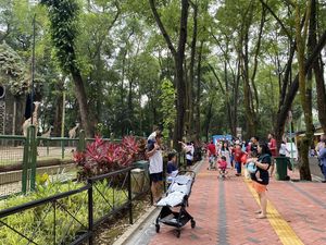 Warga Pilih Wisata ke Ragunan Sebelum Lebaran demi Hindari Kepadatan Warga Pilih Wisata ke Ragunan Sebelum Lebaran demi Hindari Kepadatan