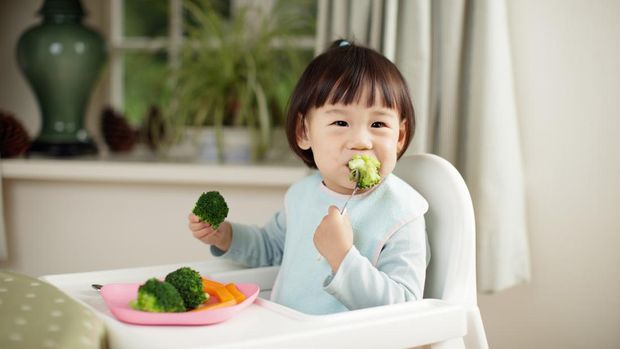 anak makan sayur