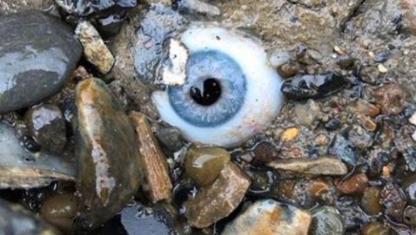 Kumpulan Foto Aneh, Menyeramkan Bikin Begidik