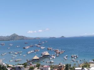 Harga Gila Sewa Rumah di Labuan Bajo Rp 100 Juta Sebulan, Mau? Harga Gila Sewa Rumah di Labuan Bajo Rp 100 Juta Sebulan, Mau?