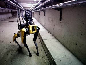 Canggih! Ini Anjing Robot yang Bantu Perbaikan Kereta Metro di Paris