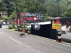 Video: Jalur Wisata Kaliurang Sepi di Hari Pertama Lebaran