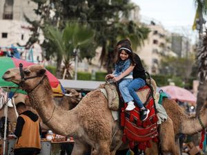 Tradisi Unik Idul Adha di Berbagai Negara, Indonesia Hingga Palestina Tradisi Unik Idul Adha di Berbagai Negara, Indonesia Hingga Palestina