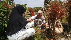 Doa Ziarah Kubur Orang Tua Sesuai Tuntunan Rasulullah SAW