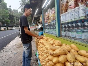Pilu Pedagang Ubi Cilembu: Dulu Rp 2 Juta Sehari, Kini Rp 18 Ribu