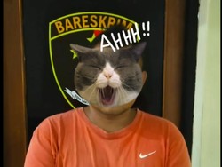 Viral Pria Pentung Kucing Berkali-kali Berujung Diperiksa Polisi