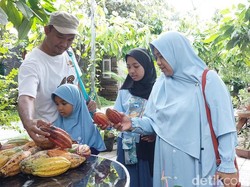 Kampung Coklat Blitar Diserbu Pemudik Saat Libur Lebaran