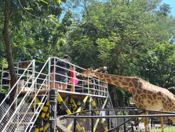 20 Ribu Pengunjung Serbu Kebun Binatang Surabaya di Hari Kedua Lebaran