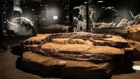 Mengunjungi Taman Khusus Buaya di Dubai