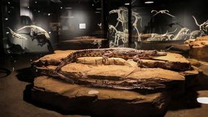 Mengunjungi Taman Khusus Buaya di Dubai