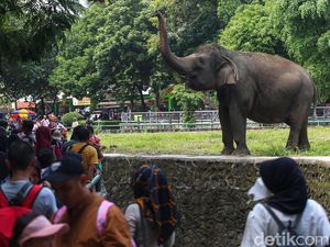 Taman Margasatwa Ragunan, Rekreasi Murah Meriah dan Lengkap