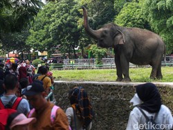 Taman Margasatwa Ragunan, Rekreasi Murah Meriah dan Lengkap