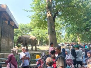 Lebaran Hari Kedua, Ragunan Dipadati Pengunjung
