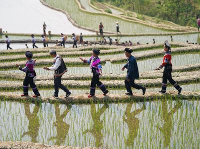 Harmoni Nyanyian dan Tari Sambut Musim Tanam Padi di China