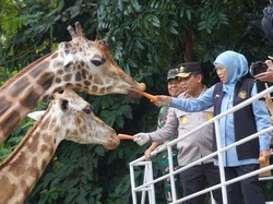 Sebagai Arek Suroboyo Asli, Khofifah Ngaku Sering ke KBS