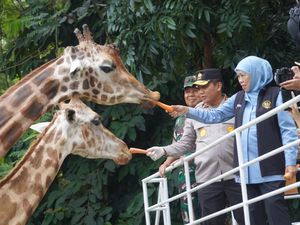Sebagai Arek Suroboyo Asli, Khofifah Ngaku Sering ke KBS Sebagai Arek Suroboyo Asli, Khofifah Ngaku Sering ke KBS