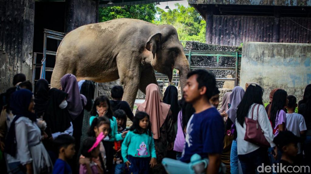 H+2 Lebaran, Taman Margasatwa Ragunan Rame Banget H+2 Lebaran, Taman Margasatwa Ragunan Rame Banget