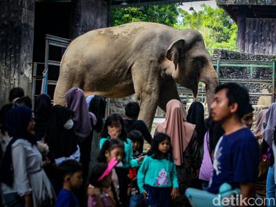 H+2 Lebaran, Taman Margasatwa Ragunan Rame Banget