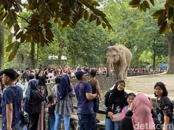 Libur Satwa Ragunan Diundur Pekan Depan