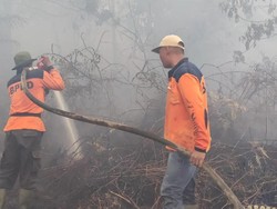 Libur Lebaran, 50 Hektare Lahan di Kota Dumai Terbakar