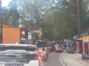 2.521 Wisatawan Kunjungi Hutan Pinus Malino Gowa Nikmati Libur Lebaran