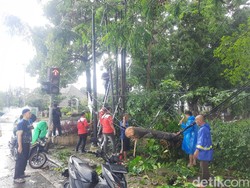Kabel Wifi Tutupin Jalan Imam Bonjol Medan, Lalu Lintas Semrawut