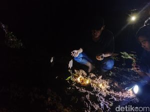 Siswi SMK Cianjur Tewas Ditembak, Ortu: Neng yang Tenang Ya Siswi SMK Cianjur Tewas Ditembak, Ortu: Neng yang Tenang Ya