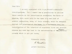 70 Tahun Lamanya untuk Membuktikan Surat Albert Einstein