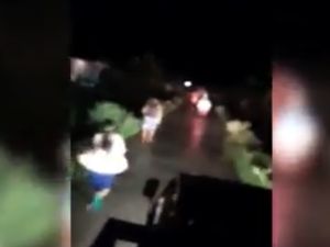 Kepanikan Warga Cari Dataran Tinggi Akibat Gempa M 6,9 Mentawai