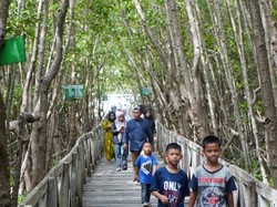 Hutan Mangrove Tongke-Tongke Sinjai Jadi Primadona Selama Libur Lebaran