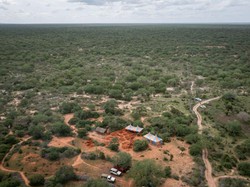 Sadis! Fakta Sekte Sesat di Kenya: Korban Capai 350 Orang, Organ Hilang