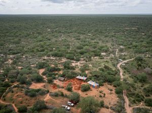 Sadis! Fakta Sekte Sesat di Kenya: Korban Capai 350 Orang, Organ Hilang Sadis! Fakta Sekte Sesat di Kenya: Korban Capai 350 Orang, Organ Hilang