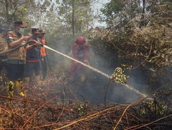 Ikut Padamkan Kebakaran Lahan di 2 Daerah, Gubri Sempat Salat Istisqa