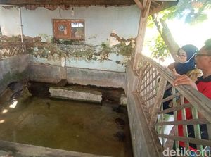 Kisah Sunan Muria dan Santri Mbah Dudo di Balik Tradisi Bulusan Kudus Kisah Sunan Muria dan Santri Mbah Dudo di Balik Tradisi Bulusan Kudus