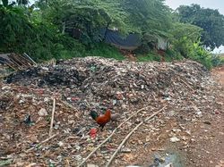 Pemilik TPA Ilegal di Pondok Cabe Udik Belum Bersihkan Sampah