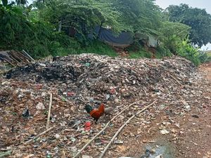 Pemilik TPA Ilegal di Pondok Cabe Udik Belum Bersihkan Sampah